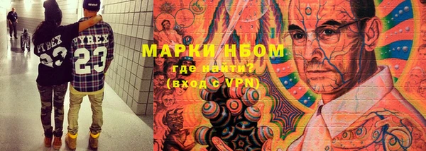 прущие грибы Тутаев