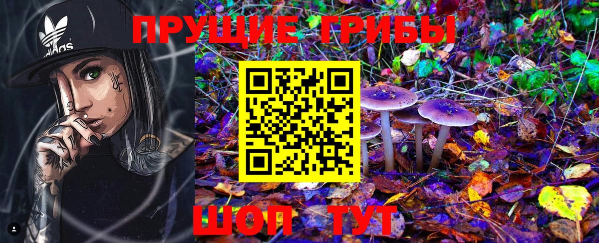 Псилоцибиновые грибы Magic Shrooms  Псилоцибиновые грибы мухоморы  Мариинск  Вход с VPN 