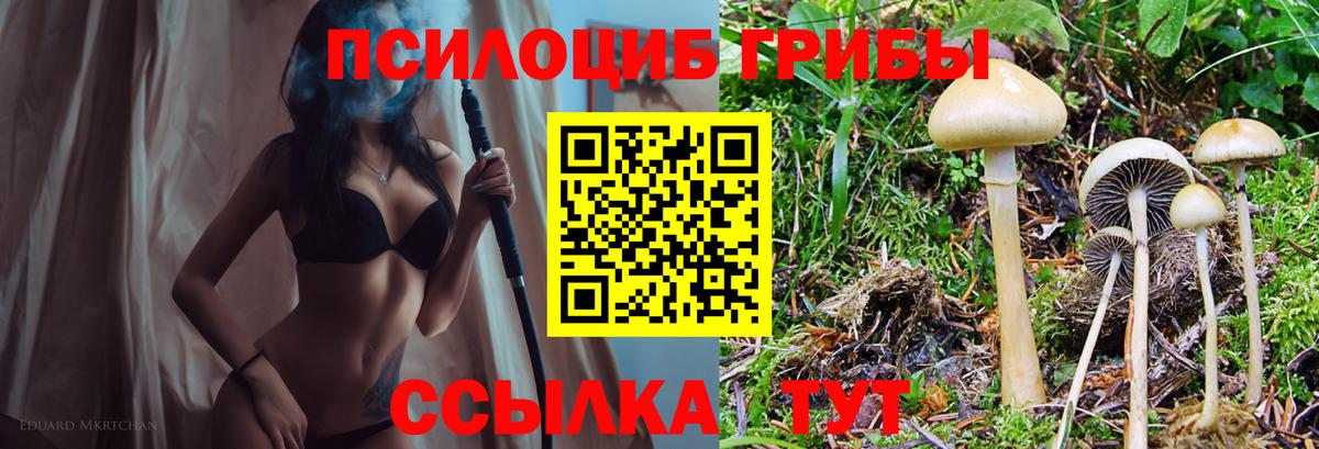 Галлюциногенные грибы GOLDEN TEACHER Мариинск